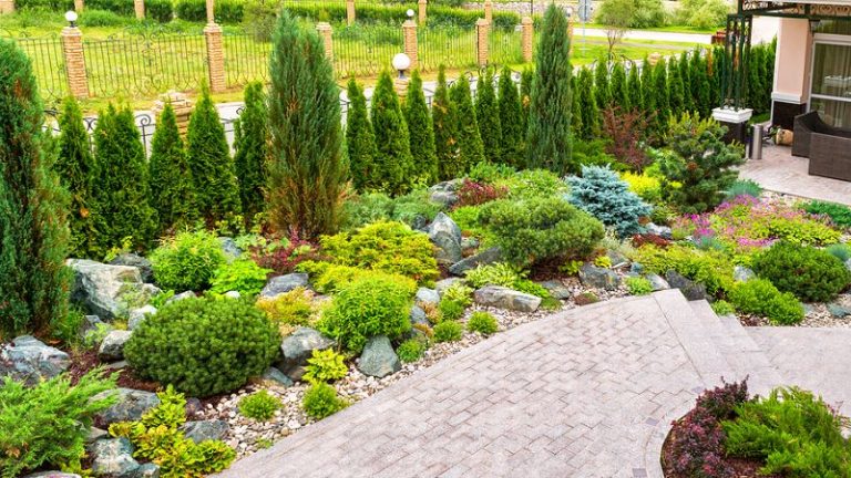 Drought Tolerant Landscaping Or Xeriscaping